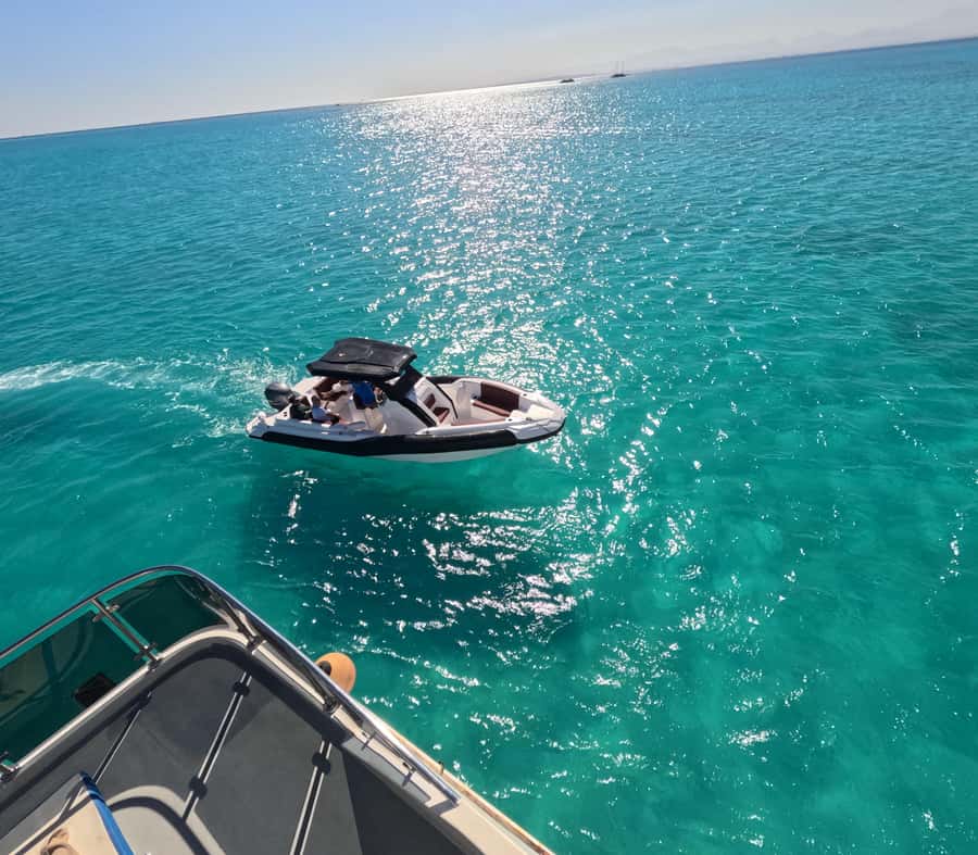 Hurghada: Turtle Bay Speedboat Tour with Snorkeling - Dolphins and extra wildlife encounters