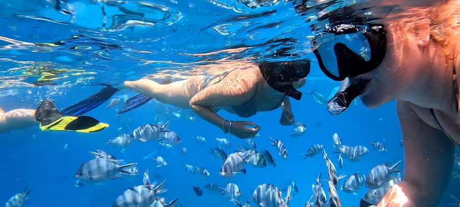 Hurghada: White Island Speedboat Tour, Snorkeling, & Lunch - Lunch, fruit, drinks, and the useful details