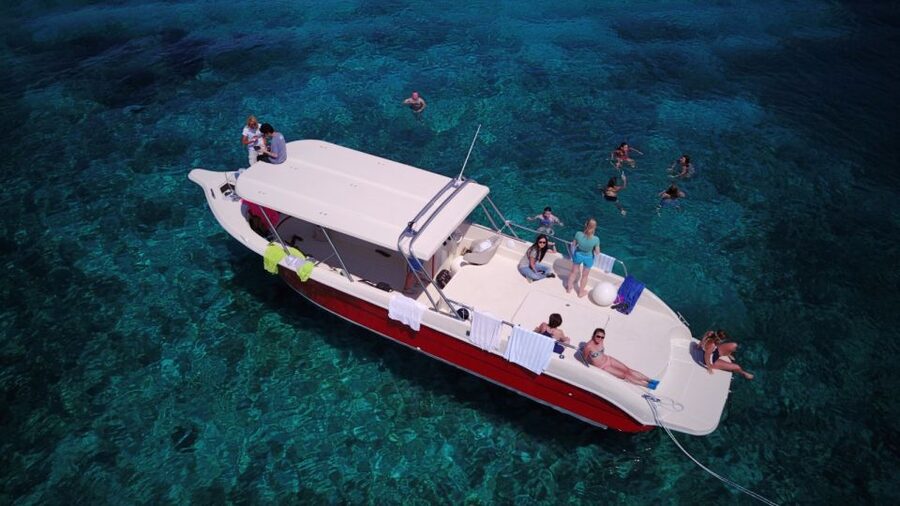 Hvar: Private Blue Cave and Vis Speedboat Tour - Budikovac Blue Lagoon for calm, clear water