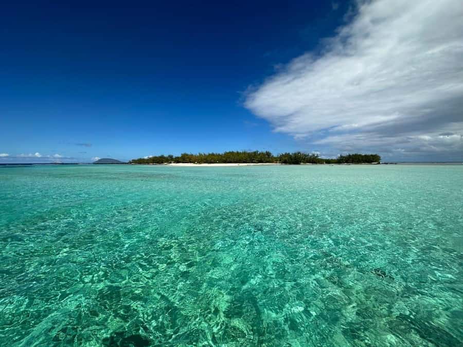 Ile aux Cerfs: Island & Waterfall Speedboat Tour with Lunch - Barbecue lunch on Ilot Mangenie