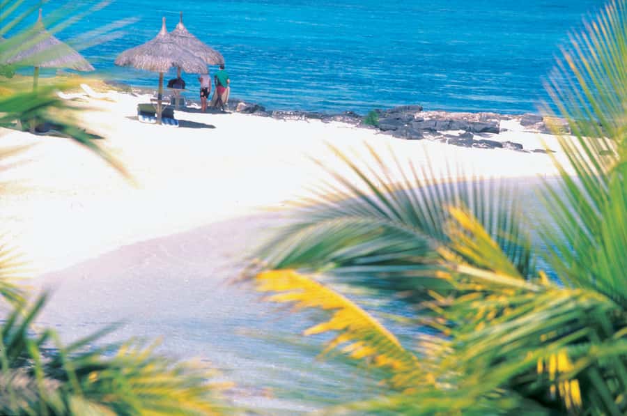 Ile aux Cerfs: Island & Waterfall Speedboat Tour with Lunch - Grand River South East and its waterfall