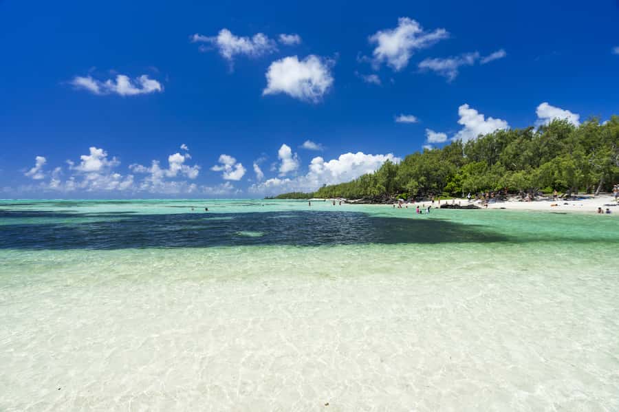 Ile aux Cerfs Speedboat Trip & Transport: Private or Shared - Why This Six-Hour Trip Works