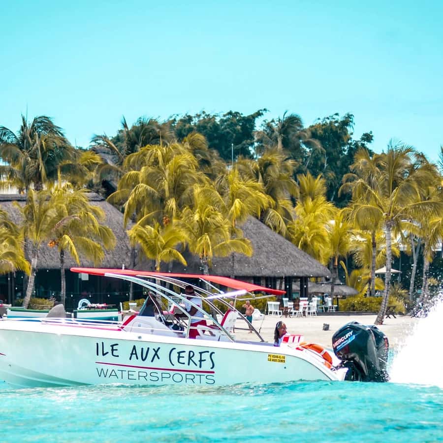 Ile aux Cerfs Speedboat Trip & Transport: Private or Shared - Swimming Conditions and What to Pack