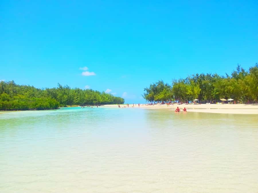 Ile aux Cerfs Speedboat Trip & Transport: Private or Shared - Who Will Enjoy This Day Most?