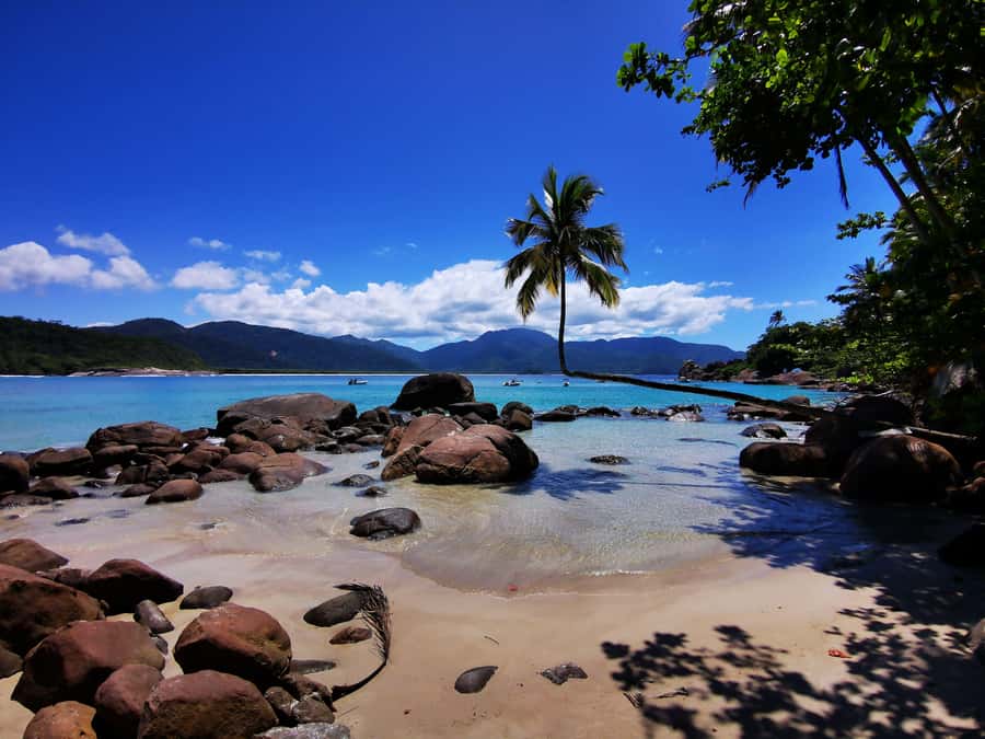Ilha Grande: 360° Circumnavigation Speed Boat Tour - 8h - Caxadaço: a first taste of wild Ilha Grande