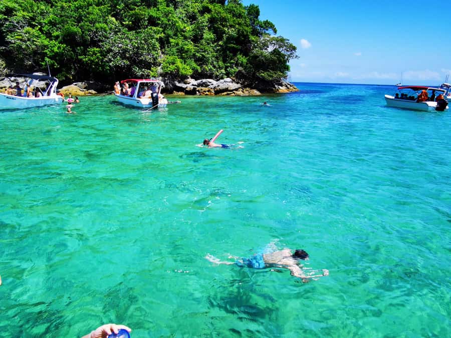 Ilha Grande: 6-Hour Speedboat Tour to Blue and Green Lagoons - The ride along Ilha Grande’s coast