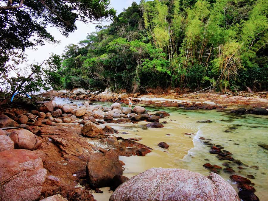 Ilha Grande: 6-Hour Speedboat Tour to Blue and Green Lagoons - Green Lagoon and its changing shoreline