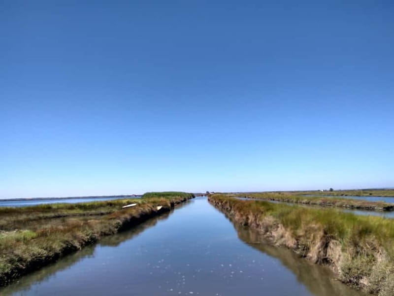Industry or Nature Boat Tour | Speedboat - Key points to know before you book