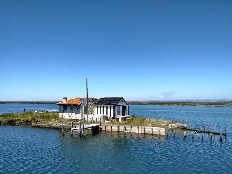 Industry or Nature Boat Tour | Speedboat - Why the Ria de Aveiro is worth seeing by boat