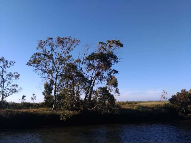 Industry or Nature Boat Tour | Speedboat - Passing through Aveiro’s floodgates