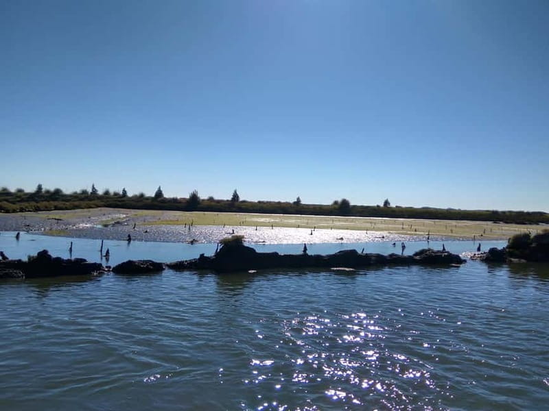 Industry or Nature Boat Tour | Speedboat - Meeting at Praias da Ria