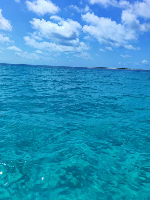 Island Adventure – Ugljan by Speedboat - What Mario adds to the experience