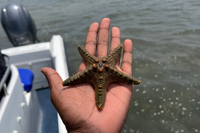 Island Escape day trip Speedboat Excursion in Maputo - Portuguese Island and the Final Part of the Day