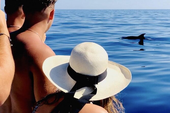 Island-Hopping, Swimming & Snorkeling SpeedBoat Tour from Zadar - What is included and why it matters