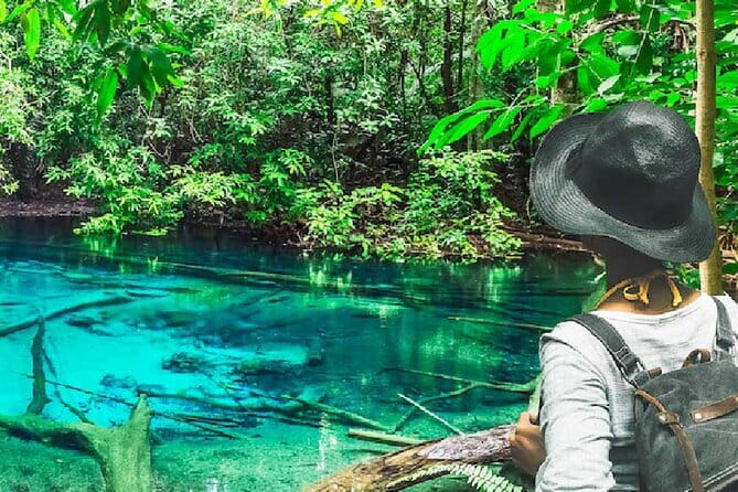 James Bond Island Sightseeing or Canoeing by Speedboat from Krabi - Hong Island and the mangrove setting