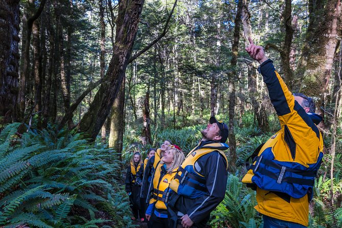 Jet Boat Journey through Fiordland National Park - Pure Wilderness - The ride back brings more action