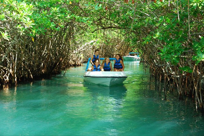 Jungle Tour In Cancun, drive a speedboat through the lagoon with your companion - The crocodile area on the way back