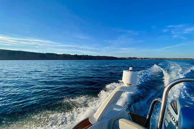 Jurassic Coast Rib Tour - Exmouth - A family-friendly ride with a personal guide