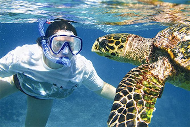 Kauai's Ultimate South Island Zodiac Boat Snorkel Adventure - Starting at Poipu for a South Shore ride
