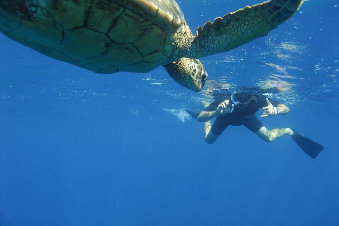 Kauai's Ultimate South Island Zodiac Boat Snorkel Adventure - Price, group size, and what you receive