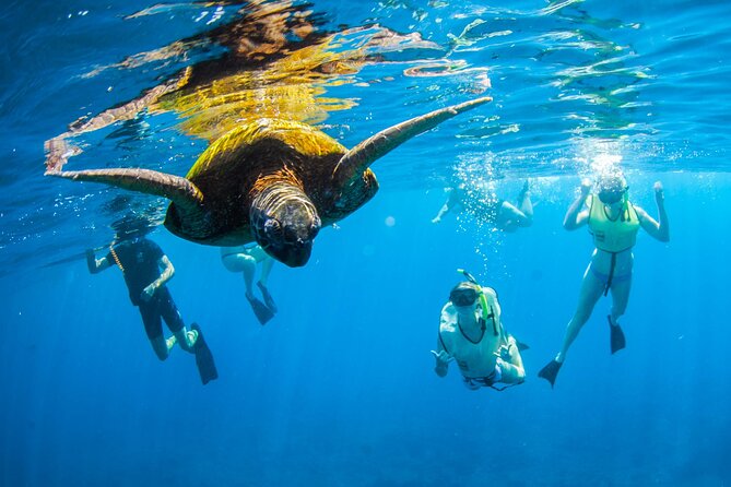 Kauai's Ultimate South Island Zodiac Boat Snorkel Adventure - First snorkel stop: turtles and calm water