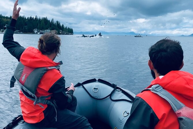 Ketchikan Zodiac Boat Adventure - What the Ketchikan Zodiac adventure is really like