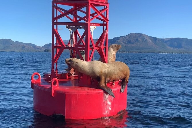 Ketchikan Zodiac Boat Adventure - Is $219 a fair price?