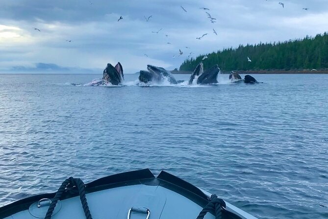 Ketchikan Zodiac Boat Adventure - From downtown Ketchikan to the launch point