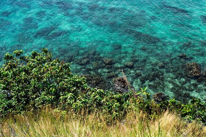 Khai Island Speedboat: Island Hopper Trip - Who should book this island hopper trip?