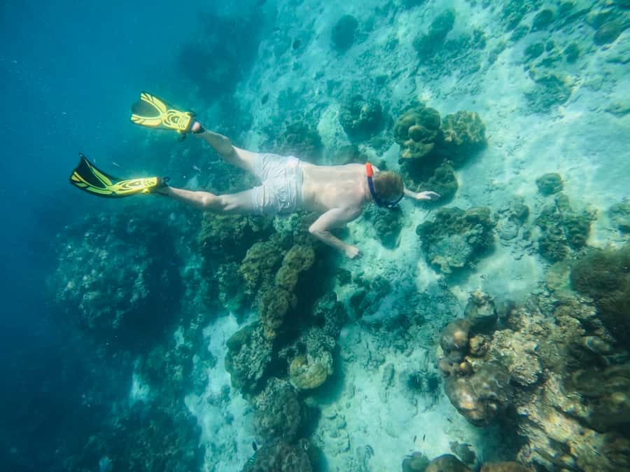 Khao Lak: Phi Phi & Bamboo Island Day Trip by Speedboat - A proper lunch at Phi Phi Holiday Resort