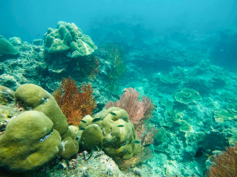Khao Lak: Phi Phi & Bamboo Island Day Trip by Speedboat - Viking Cave is a brief scenic stop