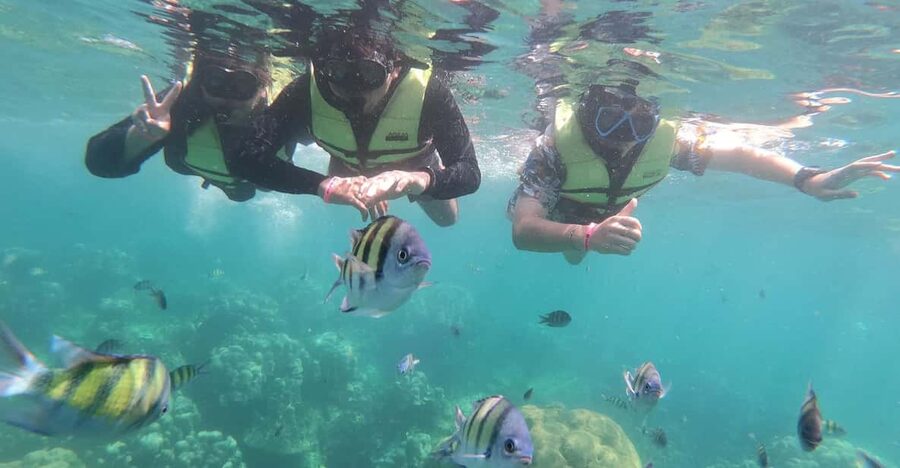 Ko Lanta: 4 Islands and Emerald Cave Day Tour by Speedboat - Koh Kradan is the day’s best pause