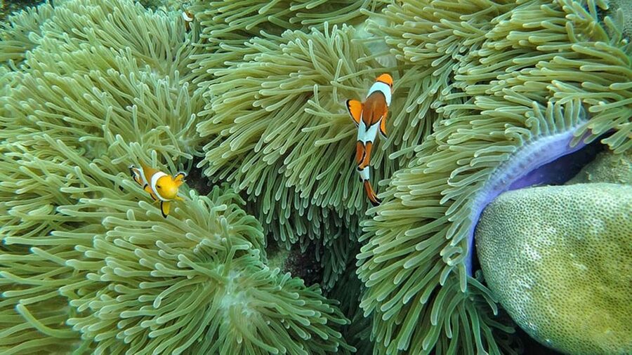 Ko Lanta: 4 Islands and Emerald Cave Day Tour by Speedboat - Boat comfort, group size, and safety