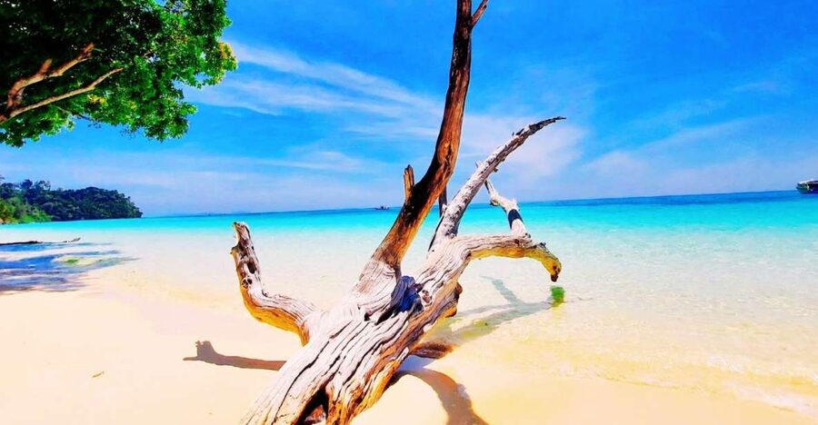 Ko Lanta: Koh Rok & Koh Haa Snorkelling Tour by Speedboat - Four Things to Know Before You Go