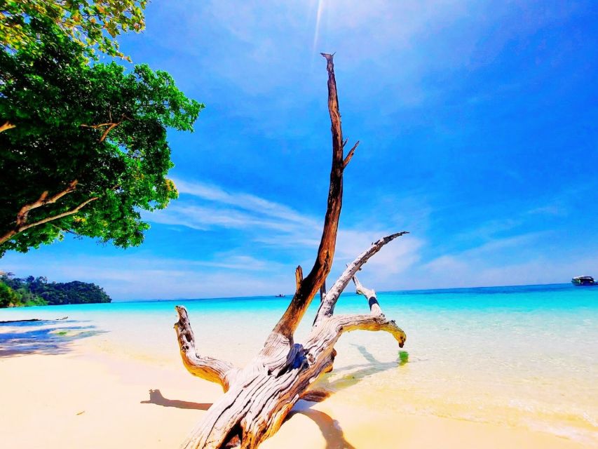 Ko Lanta: Koh Rok & Koh Haa Snorkelling Tour by Speedboat - Lunch, White Sand, and Monitor Lizards