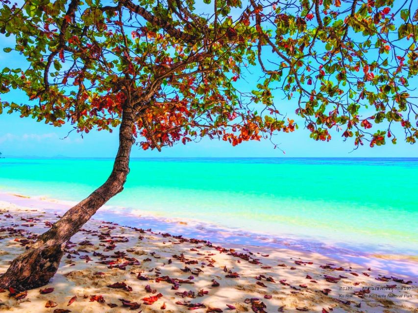 Ko Lanta: Koh Rok & Koh Haa Snorkelling Tour by Speedboat - Koh Rok’s Twin Islands and Coral Reefs