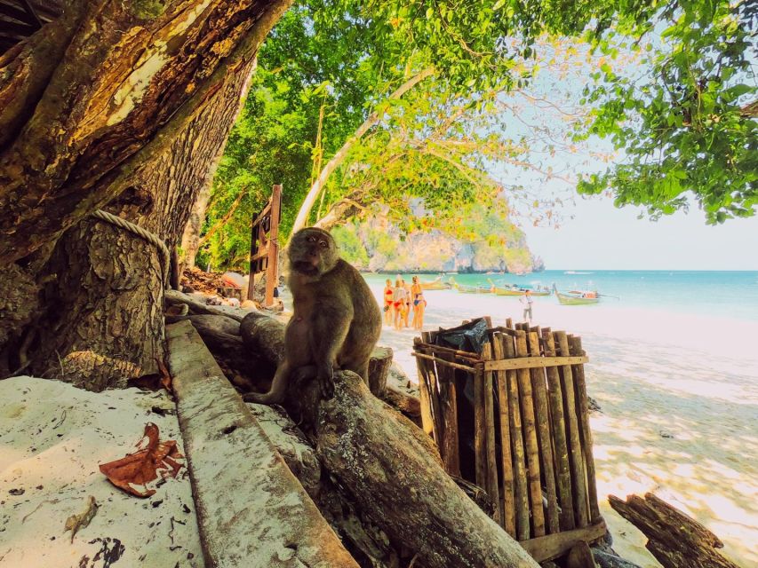 Ko Lanta: Phi Phi Day Trip by Speed Boat - Leaving Ko Lanta between 8:00 and 9:00