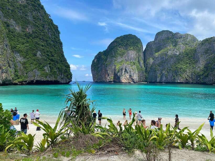 Ko Phi Phi Don: Speedboat Day Trip with Shark Snorkeling - Who Gets the Most From This Tour?