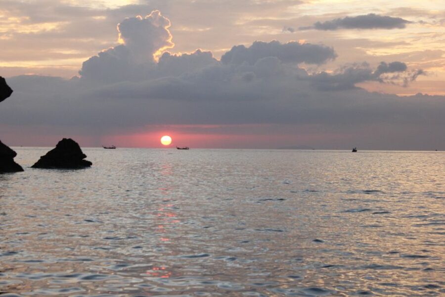Ko Phi Phi Don: Speedboat Day Trip with Shark Snorkeling - Guides, Boat Comfort, and Group Feel