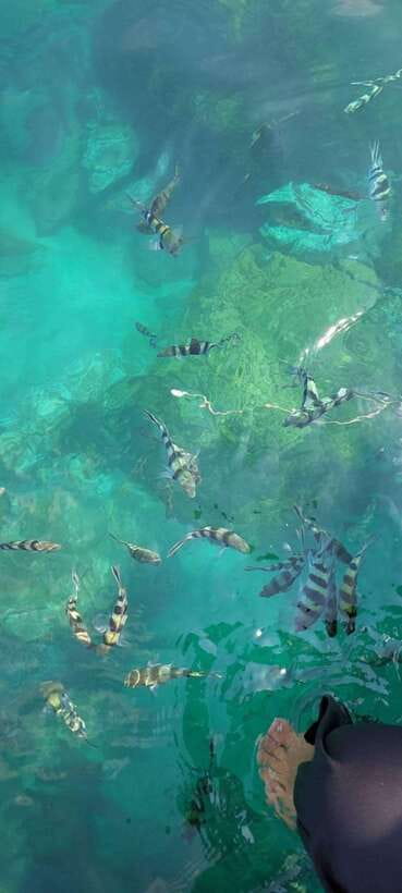 Ko Samui: Angthong National Marine Park by Speedboat - Who will enjoy this Koh Samui day trip?
