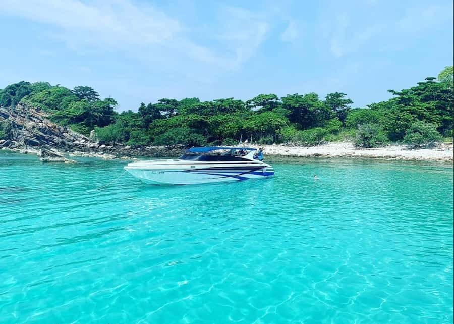 Ko Samui: Pig Island Snorkeling and Koh Tan Speedboat Tour - Why this half-day trip works so well