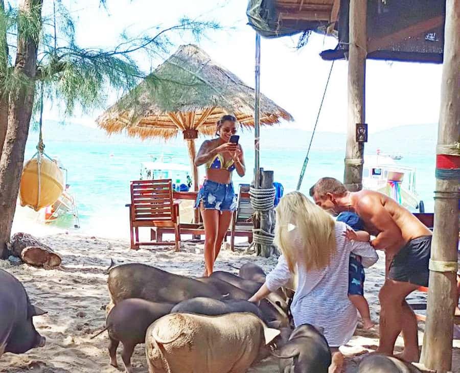 Ko Samui: Pig Island Snorkeling and Koh Tan Speedboat Tour - Koh Mudsum, the beach with pigs