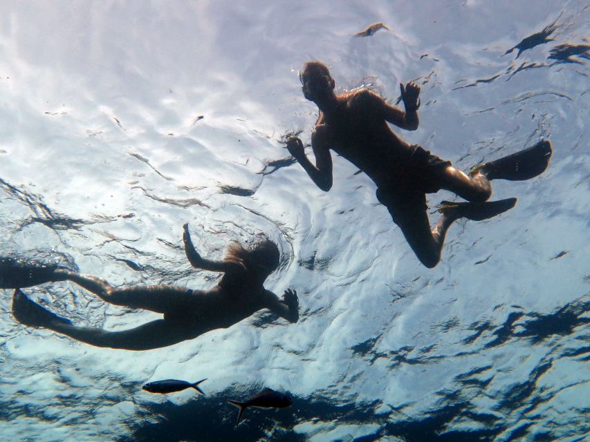 Koh Chang: Half-Day Snorkeling Adventure on a Speedboat - Booking and cancellation details