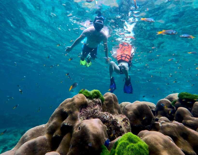 Koh Lanta: 4 Islands, Emerald Cave & Koh Kradan by Speedboat - Why this four-island trip works