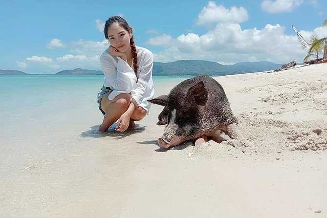 Koh Madsum and Koh Tan Snorkeling Trip By Speedboat From Koh Samui - Who should book this tour?