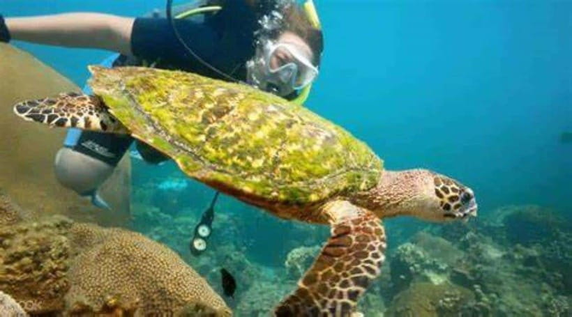 Koh Phangan: Angthong National Park Speedboat Tour - Who should book this tour?