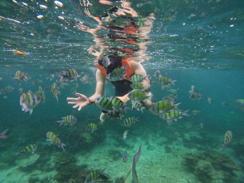 Koh Phi Phi: Early Morning Maya Bay, Bamboo Speedboat Tour - Viking Cave is a quick but unusual sight