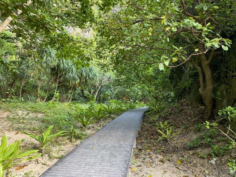 Koh Phi Phi: Early Morning Maya Bay, Bamboo Speedboat Tour - Bamboo Island makes the longer option worthwhile