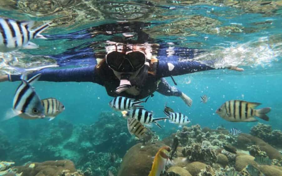 Koh Samui: Ang Thong Marine Park Day Tour by Speedboat - Why Ang Thong makes a strong day trip