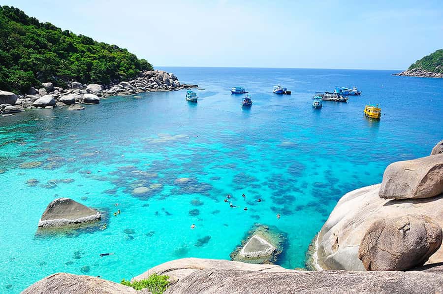 Koh Samui: Ko Tao & Nang Yuan Premium Tour Lunch & Transfer - Thai lunch on Ko Tao